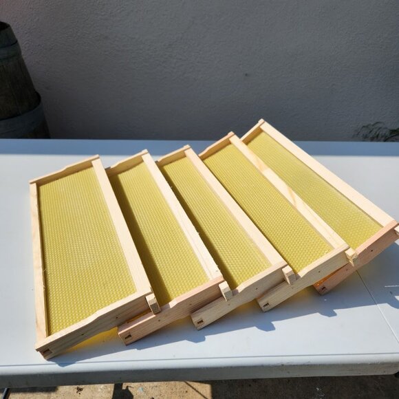 Beekeeping Equipment 5 Medium Frames + 5 Wax Foundation ASSEMBLED For Super Boxe - Picture 6 of 11